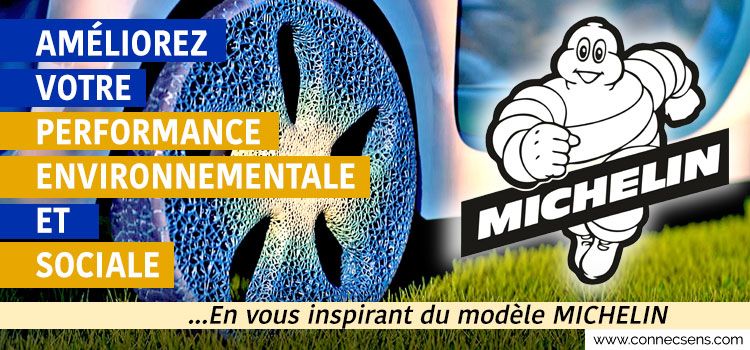STORY N°19 -  Le modèle Michelin
