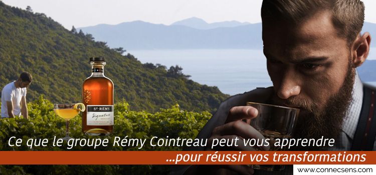 STORY N°22-RemyCointreau